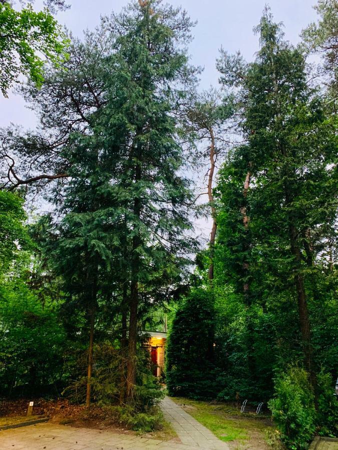 Zonnebos, Private Garden, Fresh Air, Relax! Vila Otterlo Exterior foto